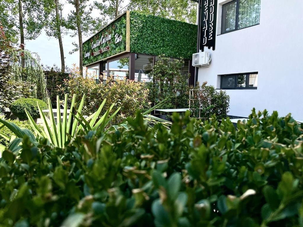 מלון Târgu Jiu Renato House מראה חיצוני תמונה