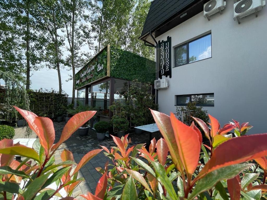 מלון Târgu Jiu Renato House מראה חיצוני תמונה